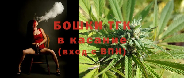 mix Богородицк